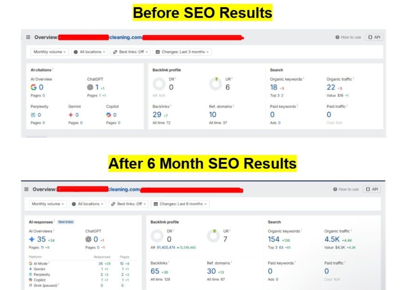 6-Month SEO Growth: Before and After Results